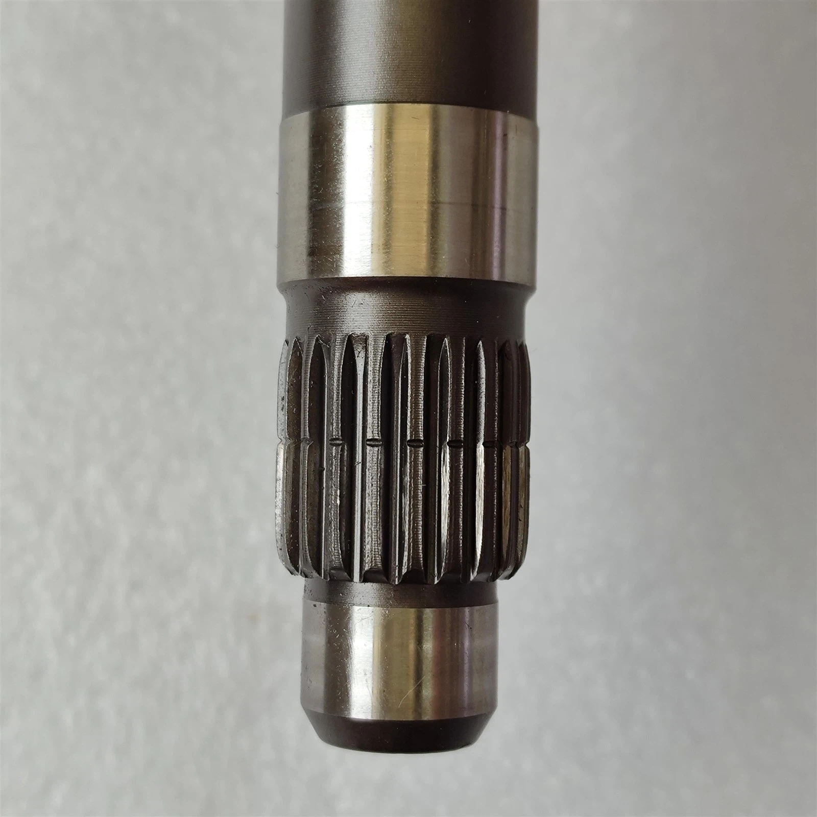 IMG20250414153131 IMG20250414153131